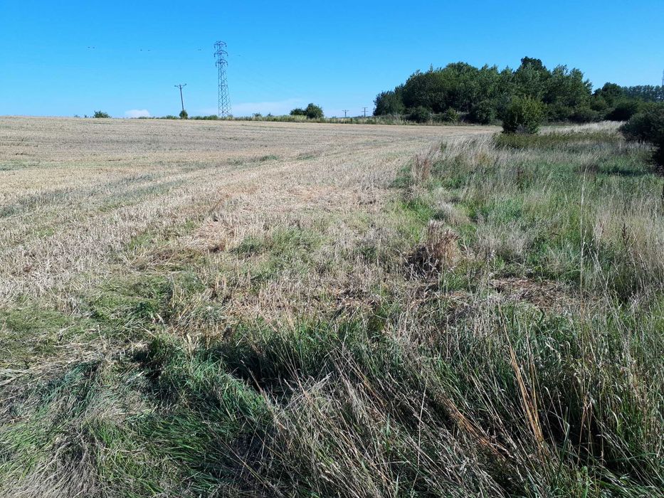 Okazja 6złoty m2 Trzebiatów duża3040m2 pięknie położona działka Okazja