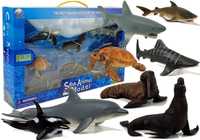 Figurki Edukacyjne Morskie Zwierzęta Rekiny Foka Delfin Mors Żółw