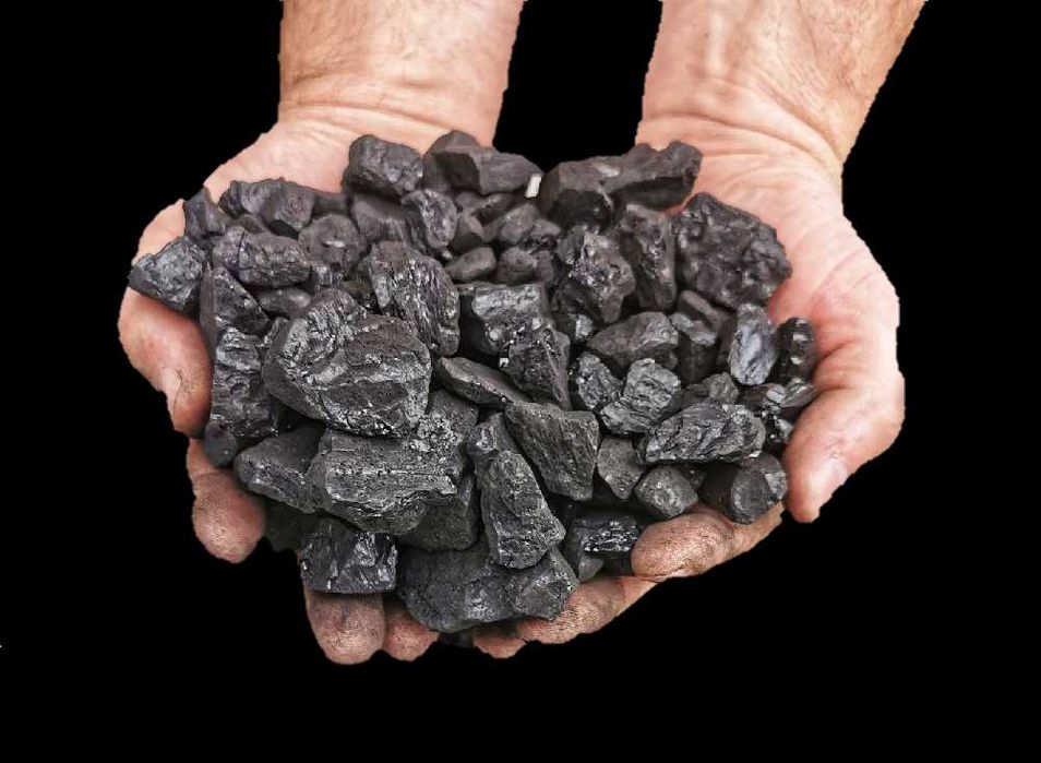 Groszek Trójka. Wysoka kaloryczność. Transport. Zachodniopomorskie