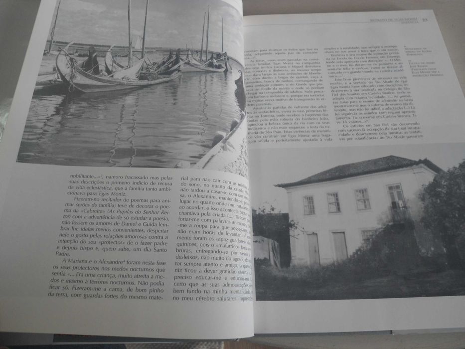 Retrato de Egas Moniz de Ana Leonor Pereira e outros