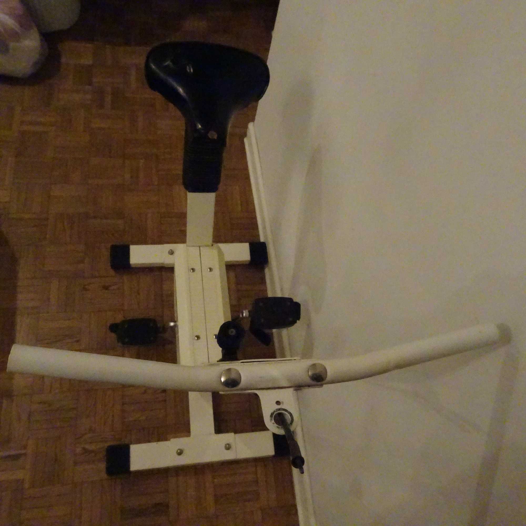 Rower treningowy Besmarex