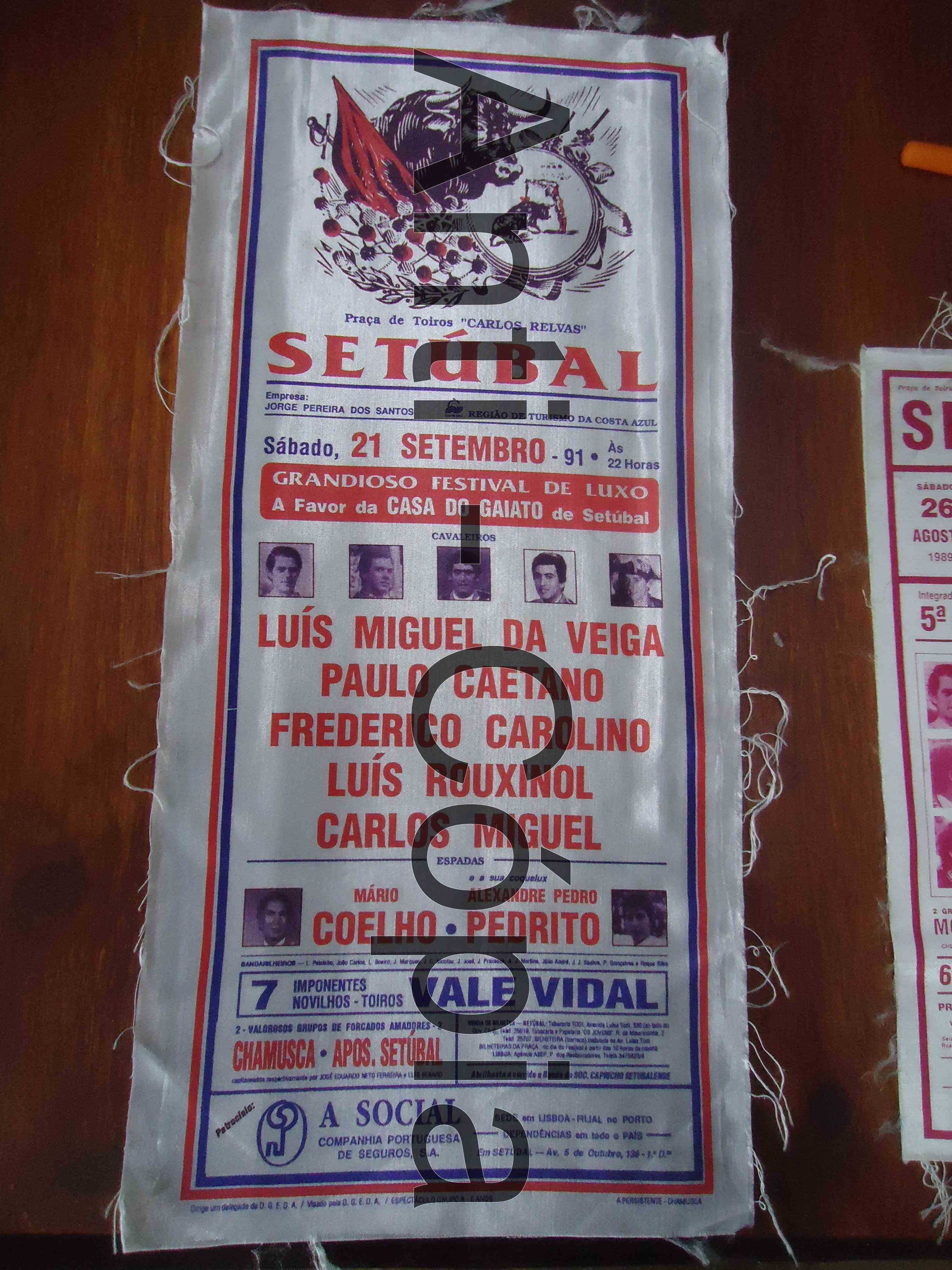 Toiros - Programas em Seda 6
