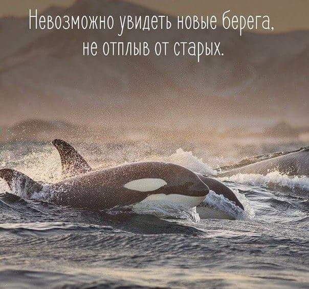 Консультації щодо виведення об'єктів з житлового фонду в нежитловий!