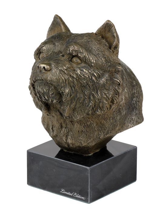Norwich Terrier głowa na kamieniu Art-Dog
