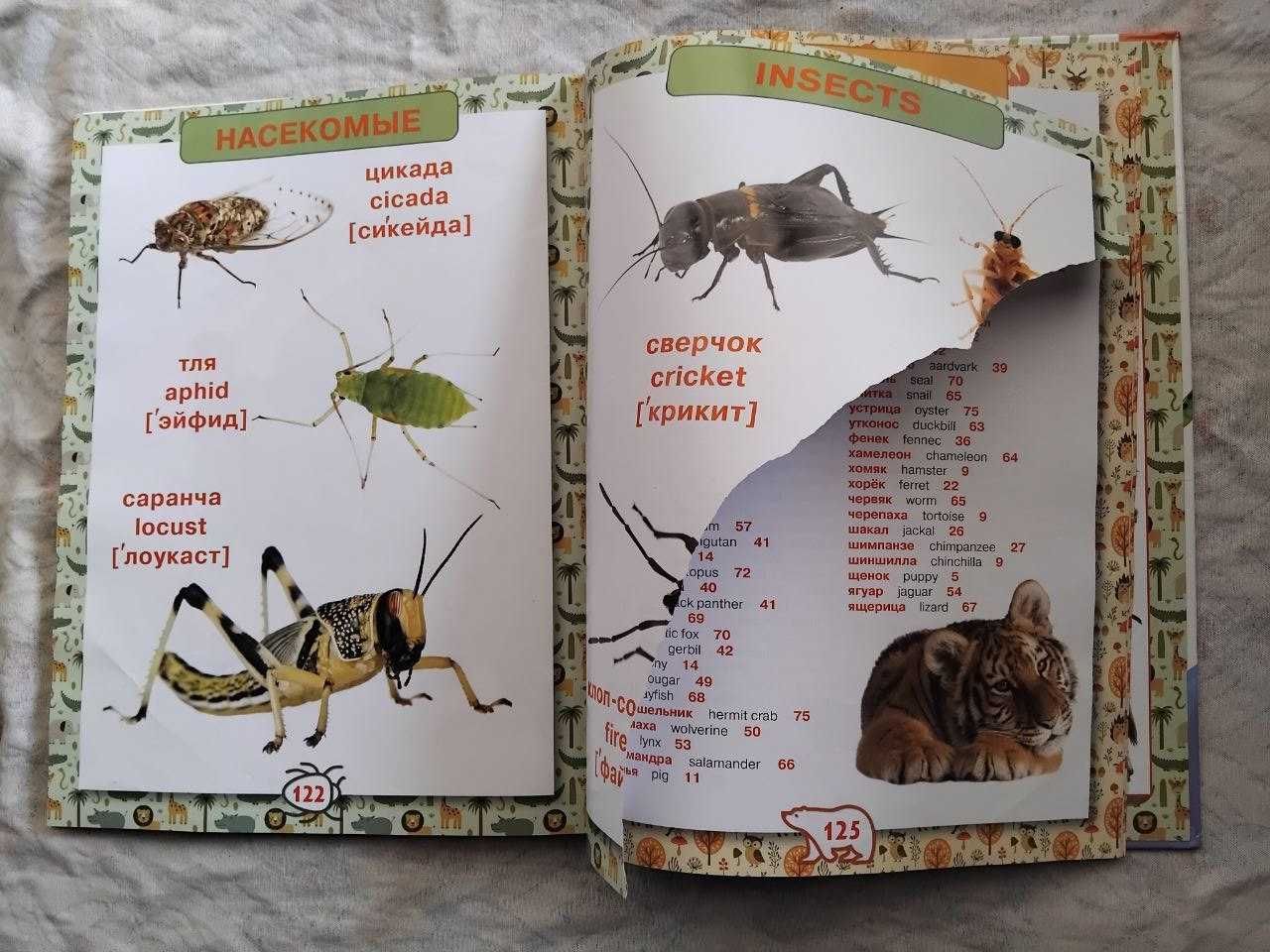 Первая энциклопедия животных для малышей