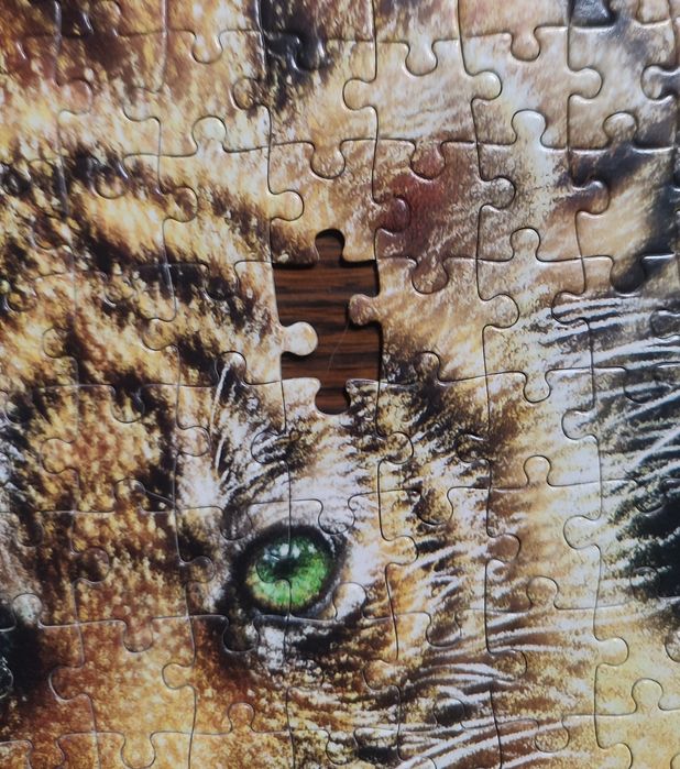 Puzzle Castorland 500 el. Cherished - Tygrys z młodym B-52448 (-1)