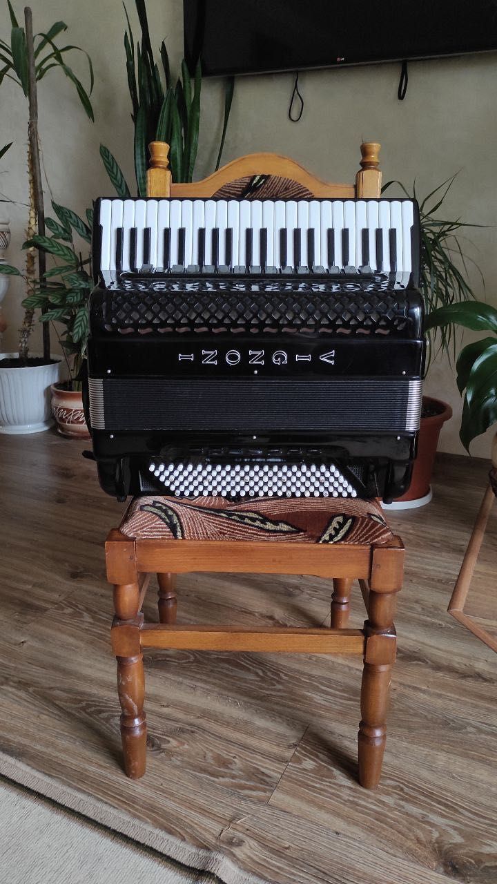 Akordeon wloski, Accordion, Vignoni