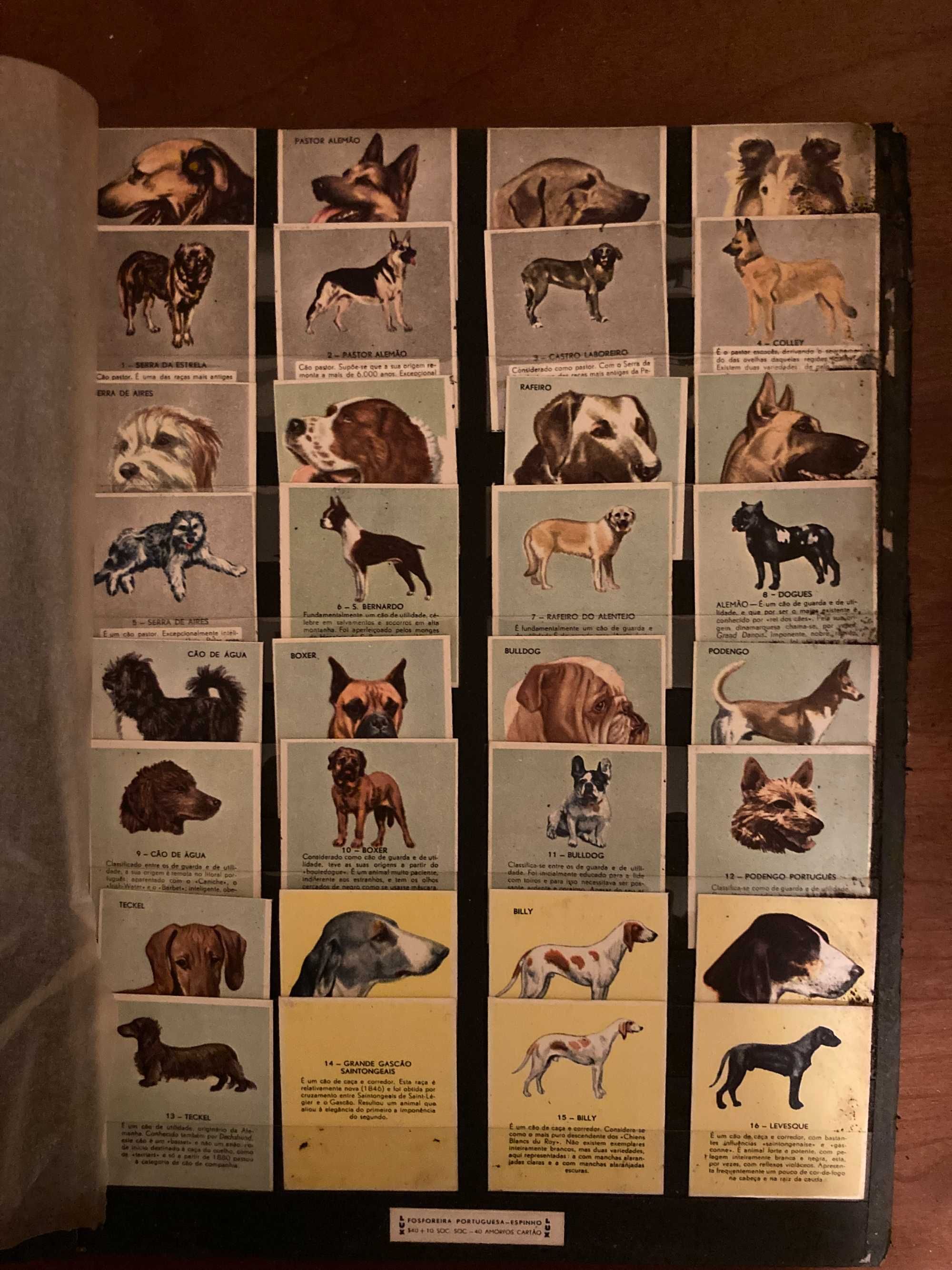 Milhares de Caixas, Carteiras e Etiquetas de Fósforos,  Anos 1950/90