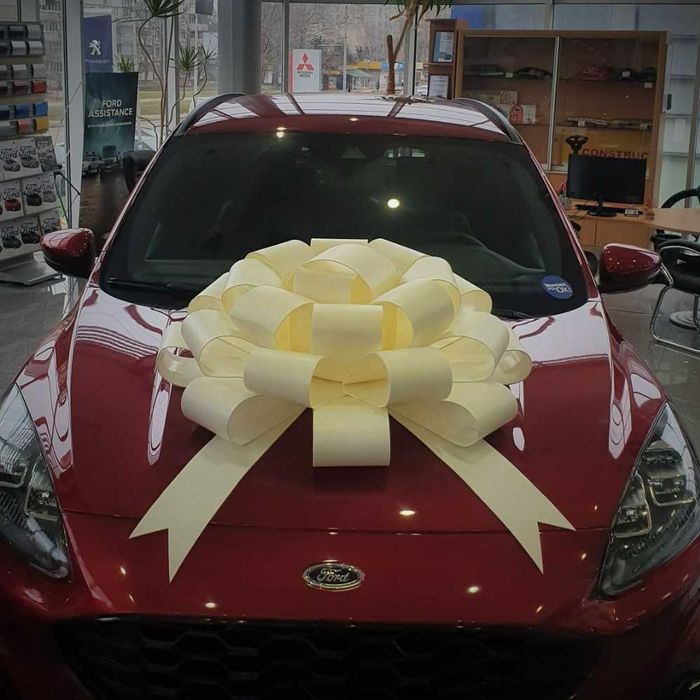 Белый Бант на машину ( 1 метр )