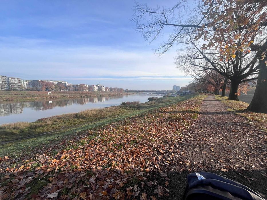 Rozkładowe 2-pokojowe, 6. piętro, klimatyzacja – ul. W. Reymonta