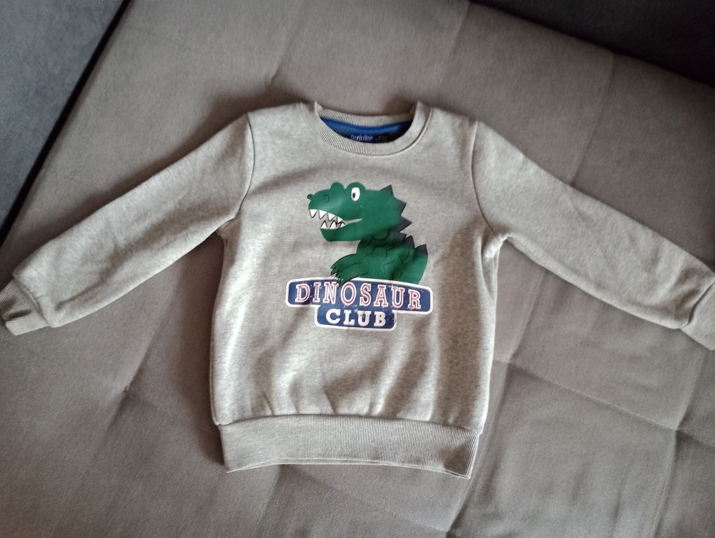 Bluzy chłopięce 5 szt. H&M, 5-10-15, Reserved, Lidl 98/104