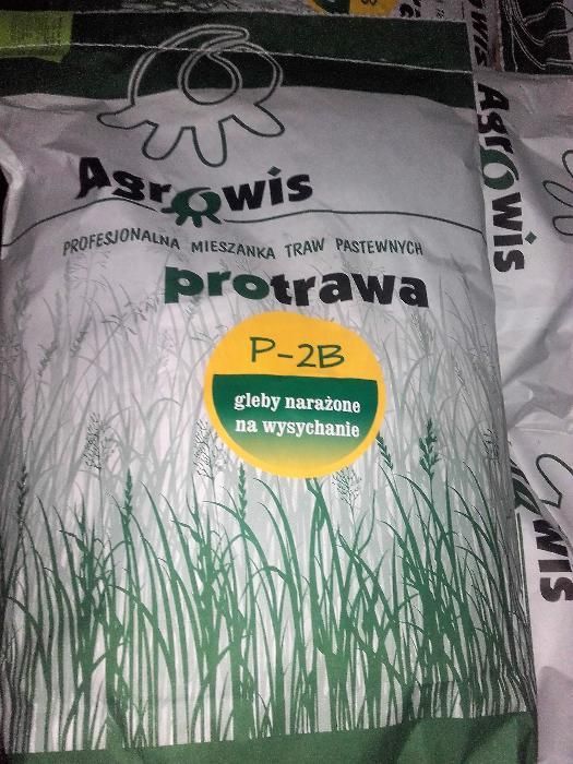 PROTRAWA P2A, P2B - mieszanka traw na gleby lekkie lub posuszne