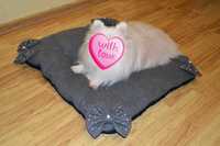 Серая подушка лежак для собаки кота кошки с бантами