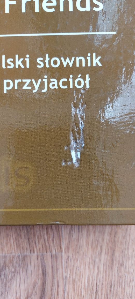 An English-Polish Dictionary of False Friends. Słownik fałszywych ...