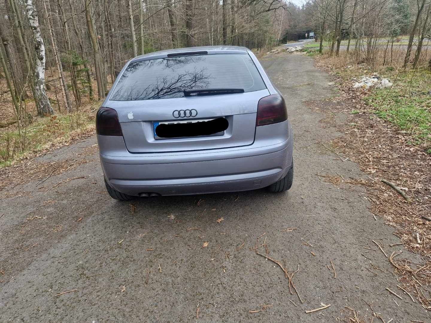 Audi A3 8P 1.9 TDI BKC