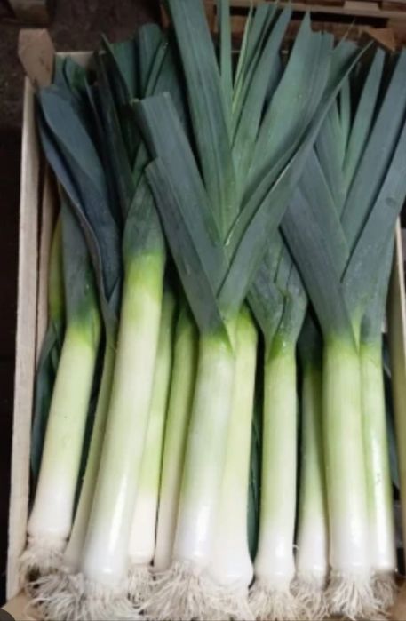 Por sprzedam...ekologiczny