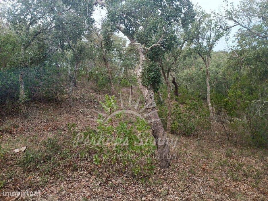 Terreno São Francisco da Serra