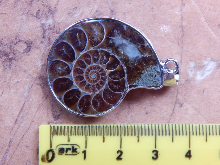 Амоніт кулон мушля, аммонит ракушка, окаменелость натуральный камень