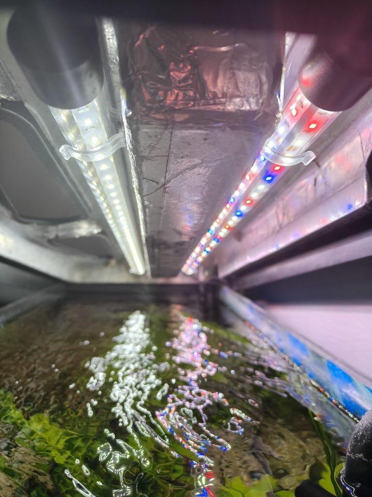 Akwarium 112l. Oświetlenie led