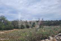 Terreno Rústico Com 6080M2 Em Umbria-Paderne-Albufeira