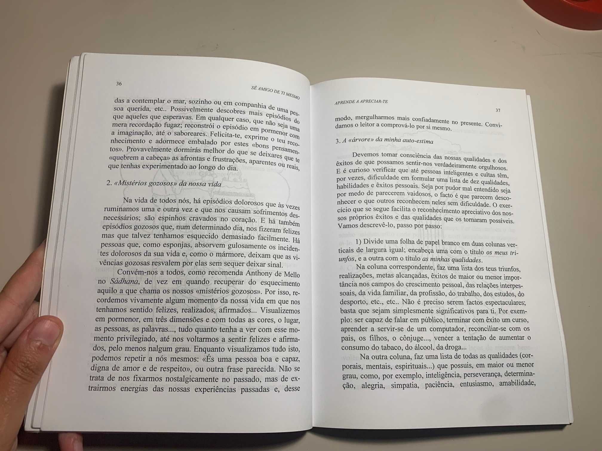 Sê amigo de ti mesmo - Livro sobre autoestima