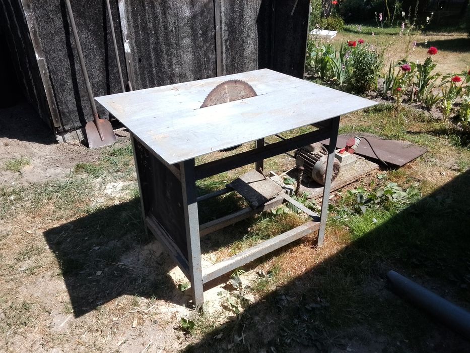 Krajzega piła stołowa.