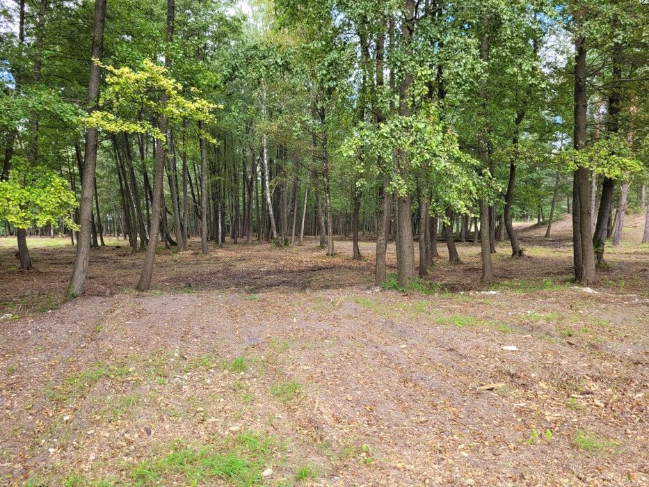 Czyszczenie działek mulczowanie krzaków rekultywacja koparki ziemia