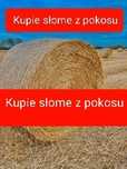 Słoma 2025 z pokosu