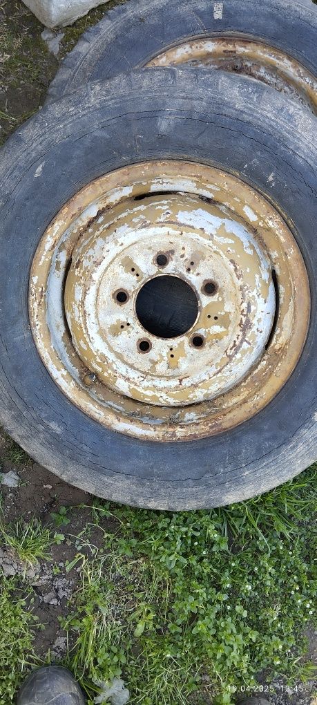 Przyczepa, koła, Iveco, 16,Lina,piasty, wózek W