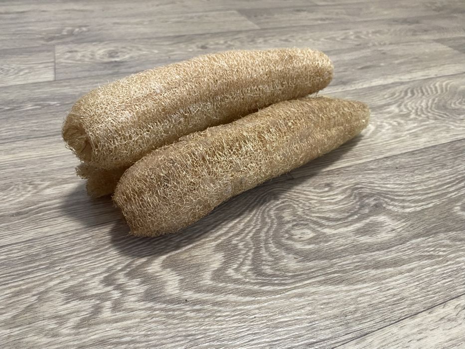 Люфа мочалка насіння. Урожай 2025