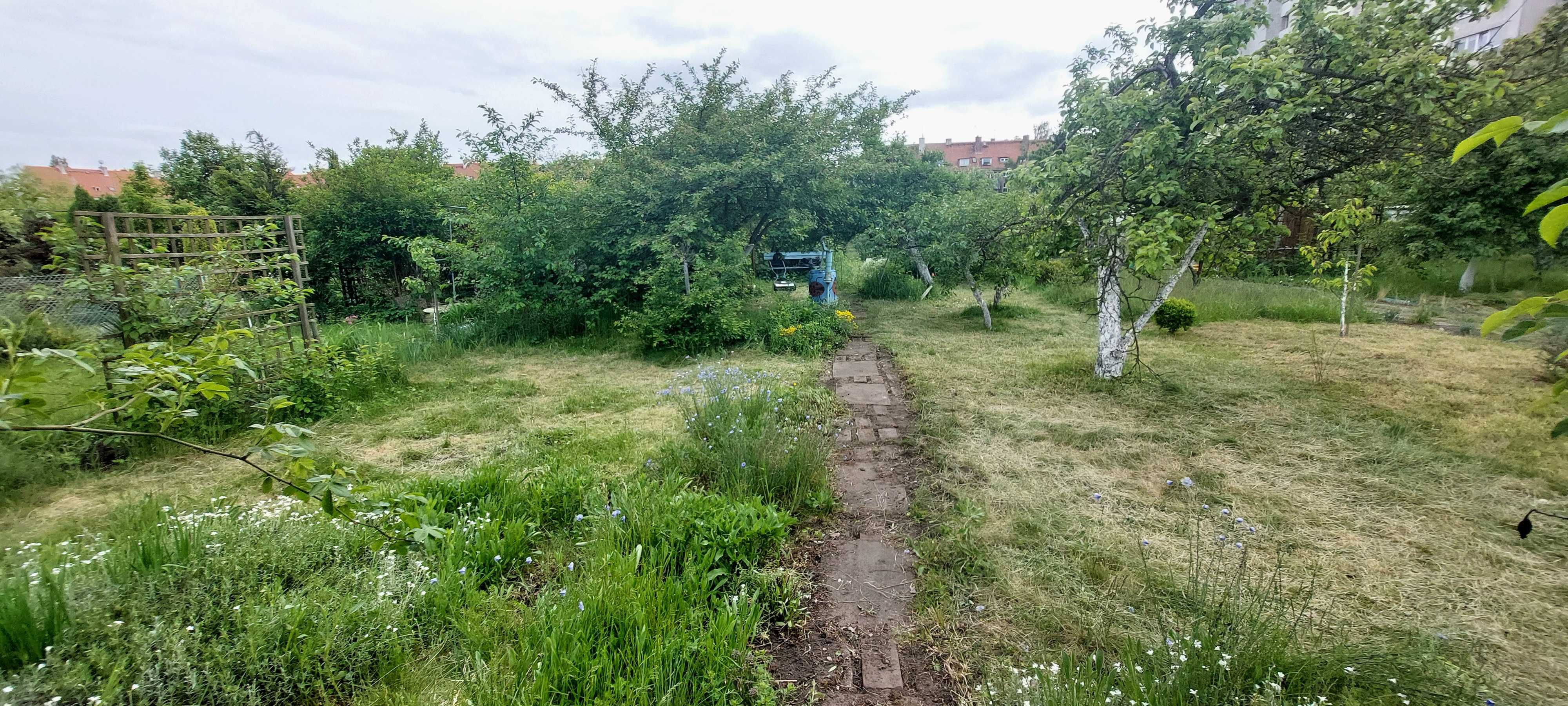 Ogródek działkowy ROD "Lepsze Jutro" ul.Daszyńskiego/Jaracza