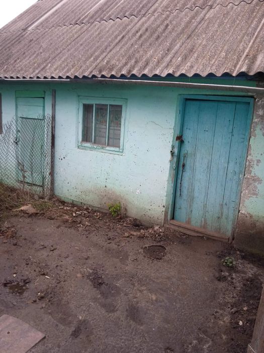 Продам дом/ участок 12 соток Андреевка