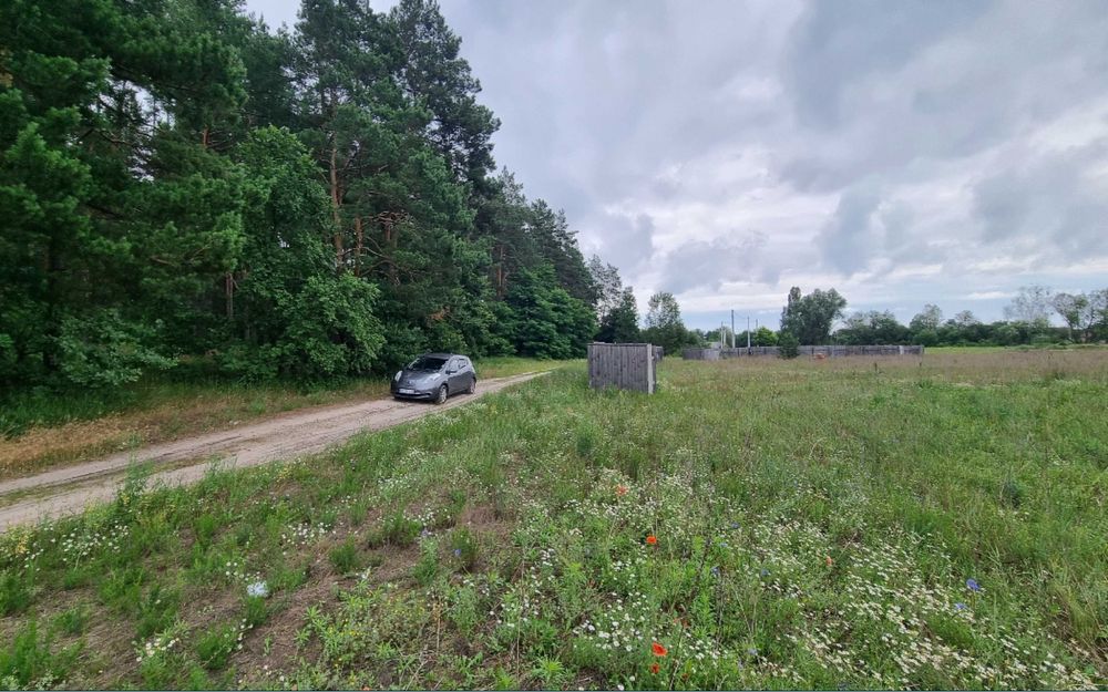 Ділянка під лісом в Микуличі