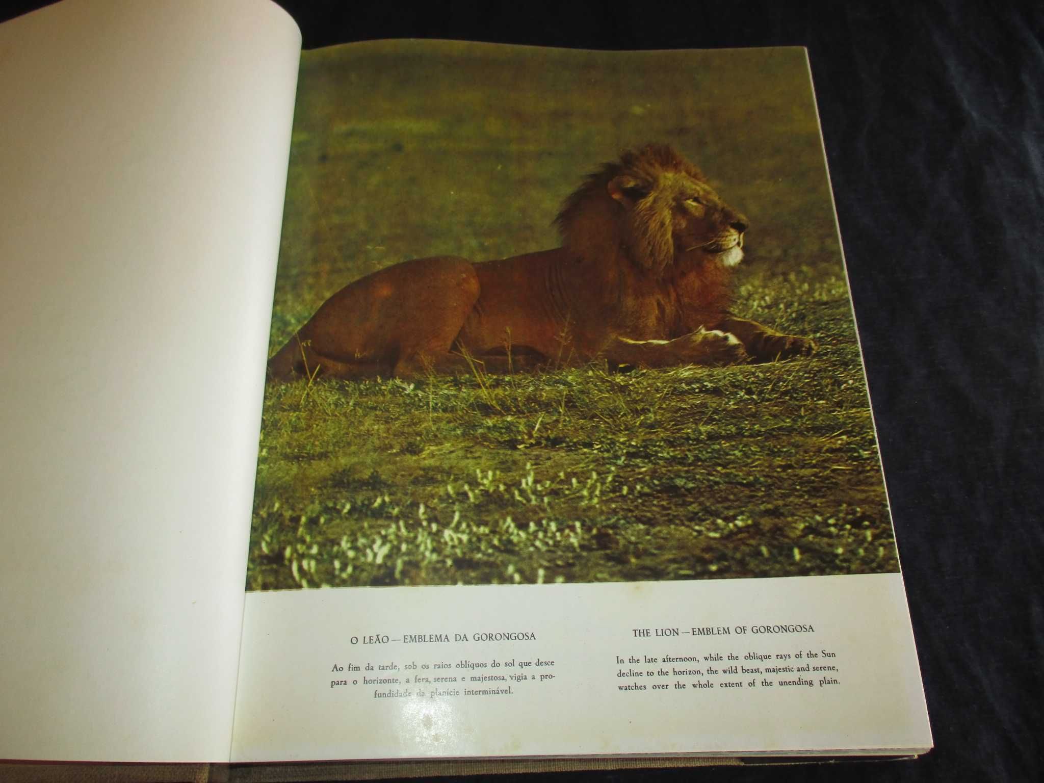 Livro Santuário Bravio Gorongosa e Moçambique Eça de Queiroz 1964