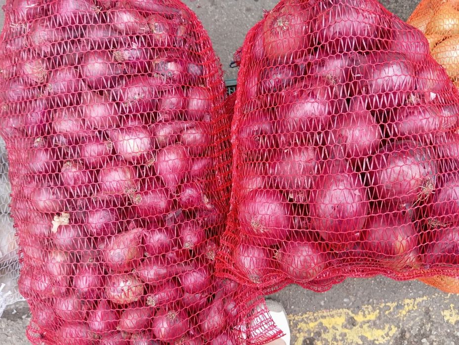 Żółta Biała Czerwona cebula