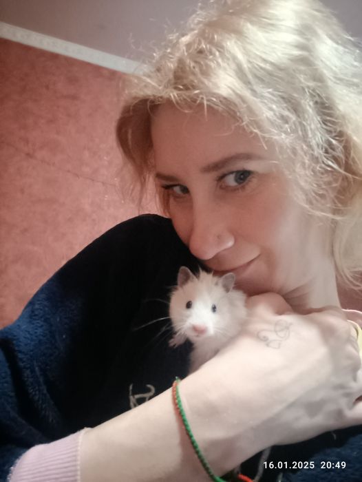 Гризуни в добрі руки