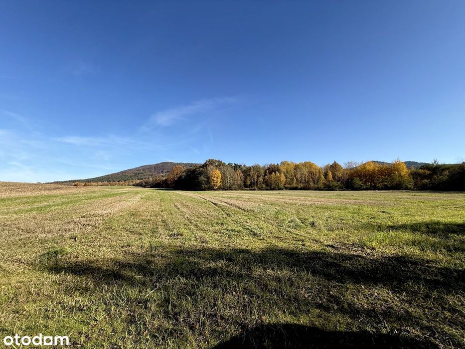 Sielski klimat i bliskość miasta – działka budowlana 40 arów, Mysłaków