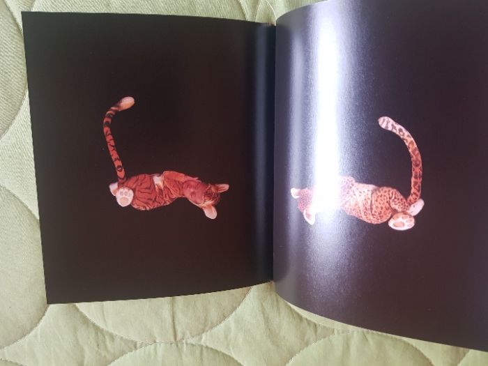 Agenda Anne Guedes - ano 2000 - nova