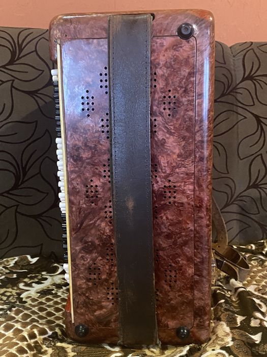 Баян Кіровський3