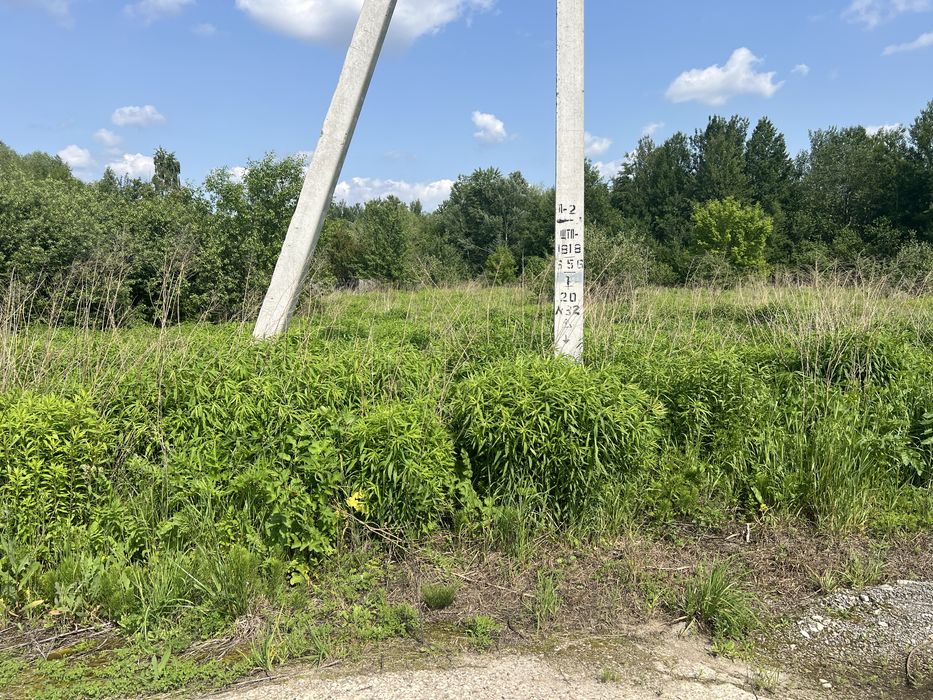 Пр зем16с делю если нужно пуховка село в самой природе свет соседи