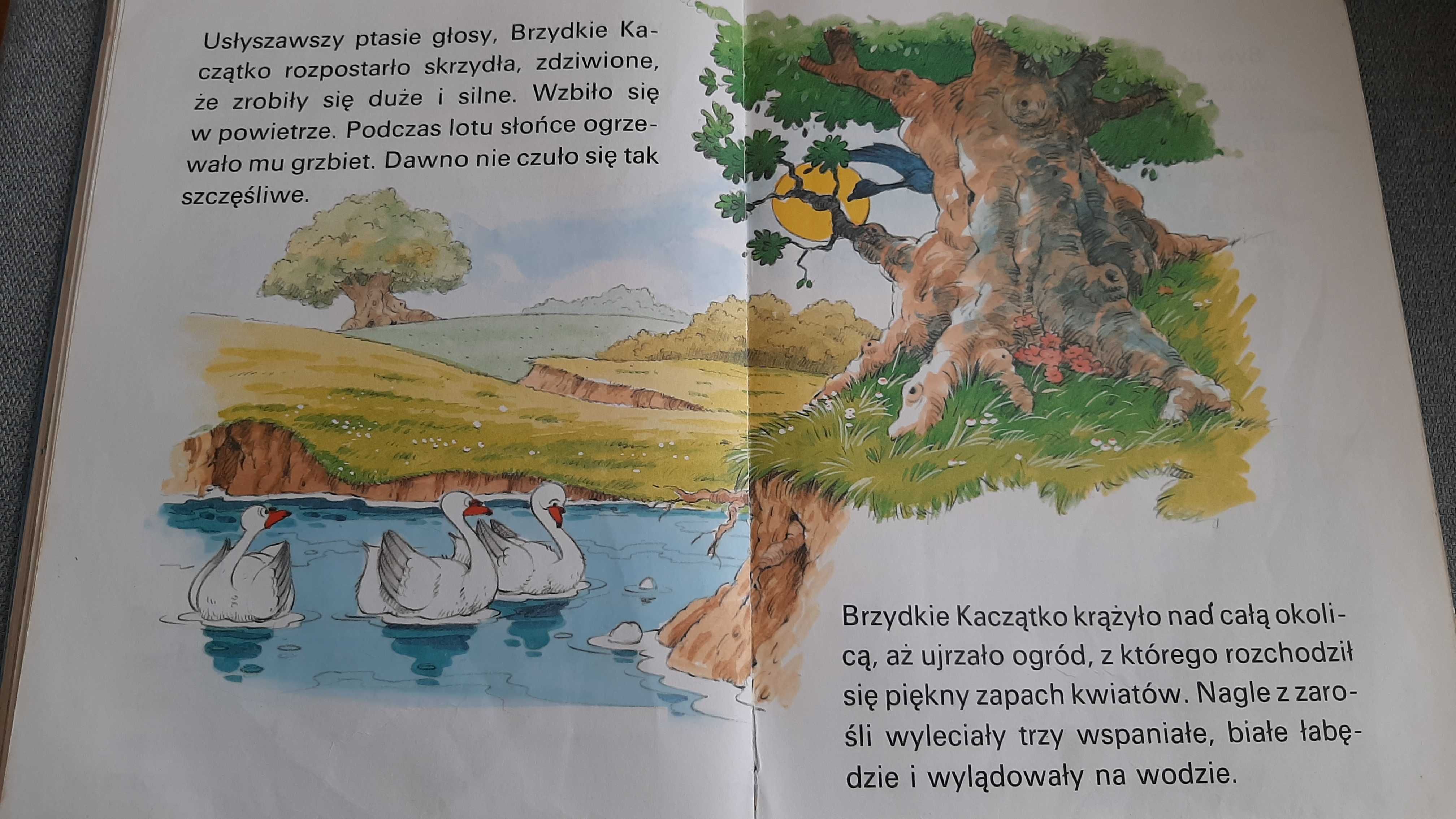 Baśnie Maureen Spurgeon DUŻE LITERY Brzydkie kaczątko Złotowłosa Misie