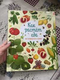 Чудові книги російською. Тело человека, еда, динозавры