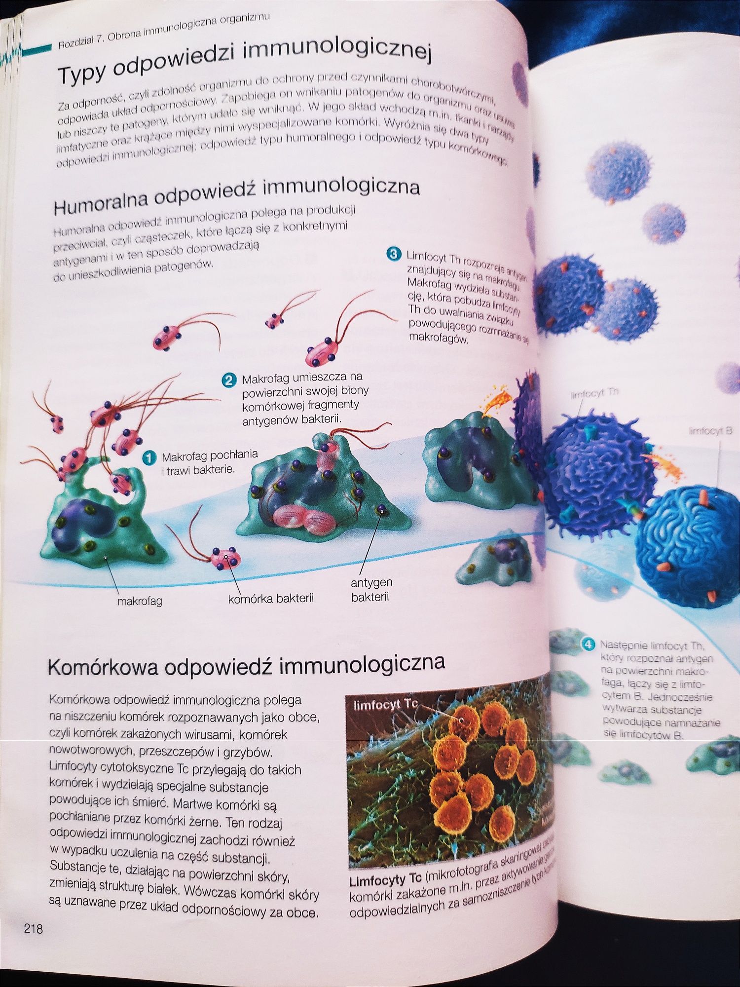 Biologia na czasie 2. Zakres rozszerzony. Podr. z DOSTĘPEM DO E-TESTÓW