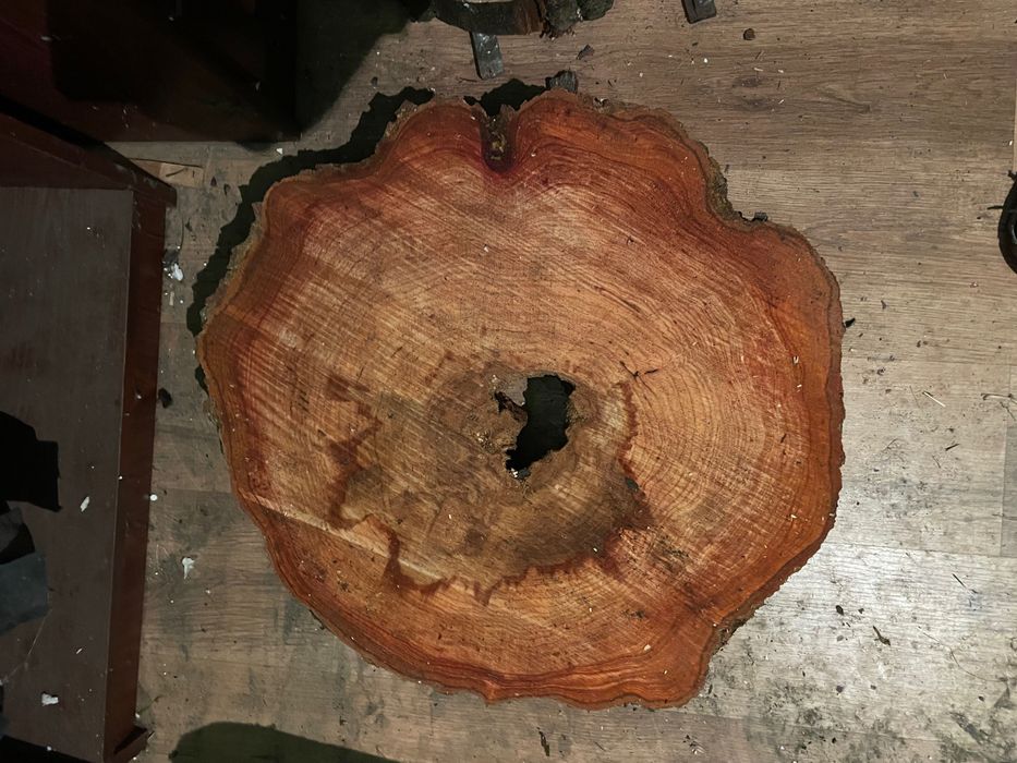 Plastry drewna z drzewa olchowego