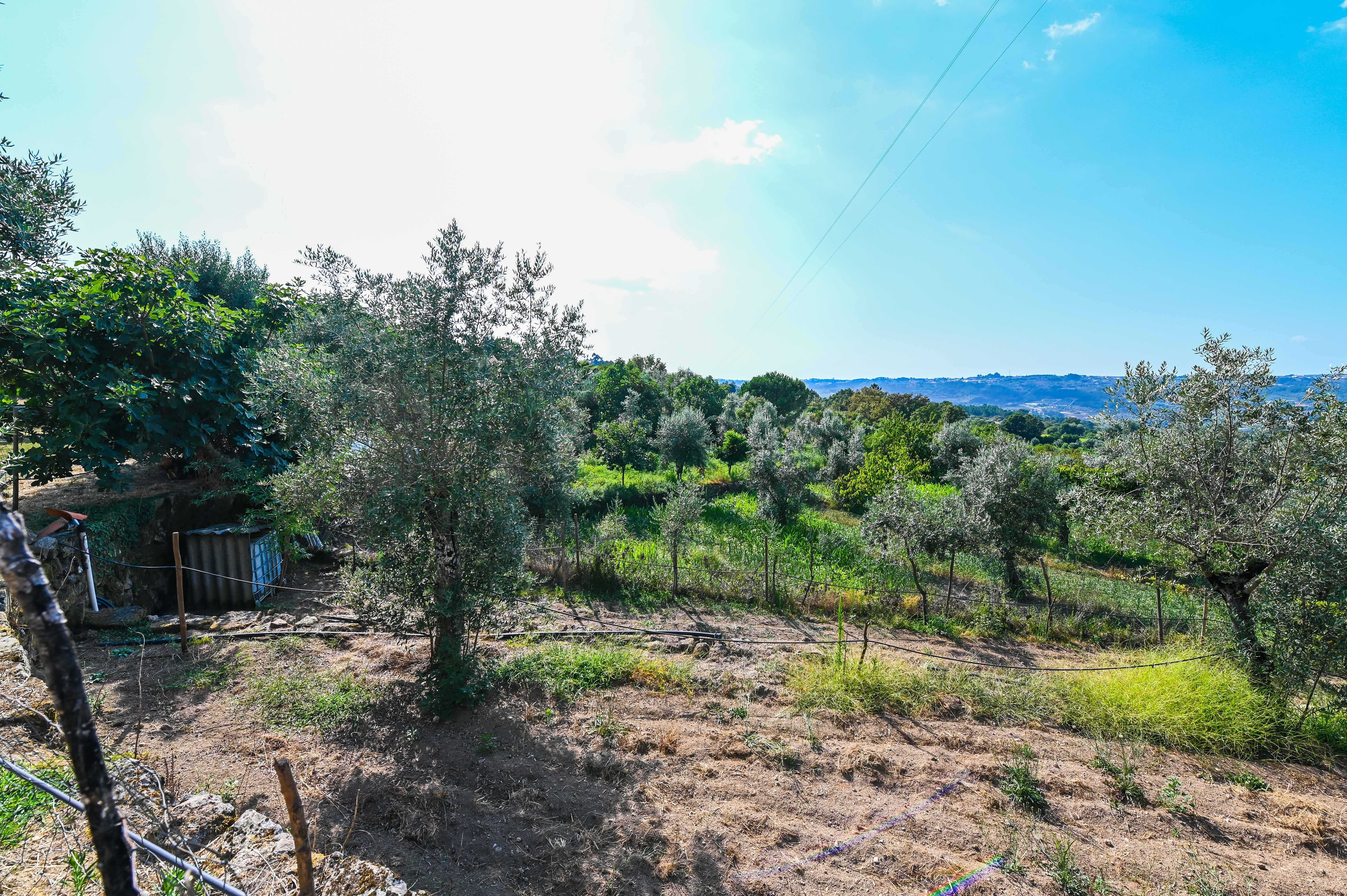 QUINTA C/4 MORADIAS T2 e T3 - VISEU