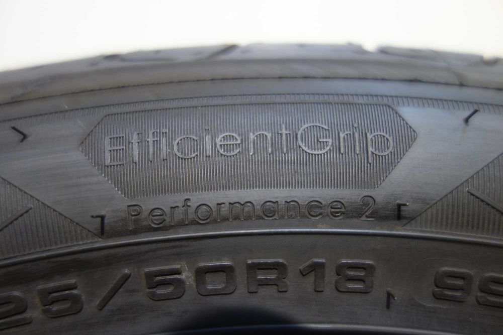 Opony letnie 225/50/18 - GOODYEAR Efficient Grip Performance 2 XL DEMO