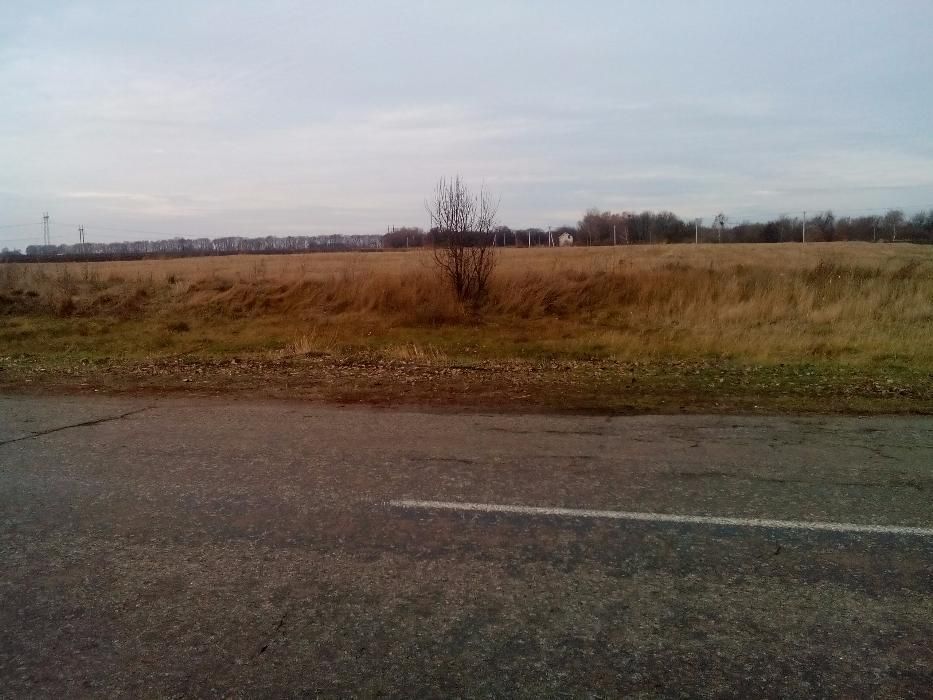 Продам земельный участок с. Гвоздов, 19 км. от Киева.