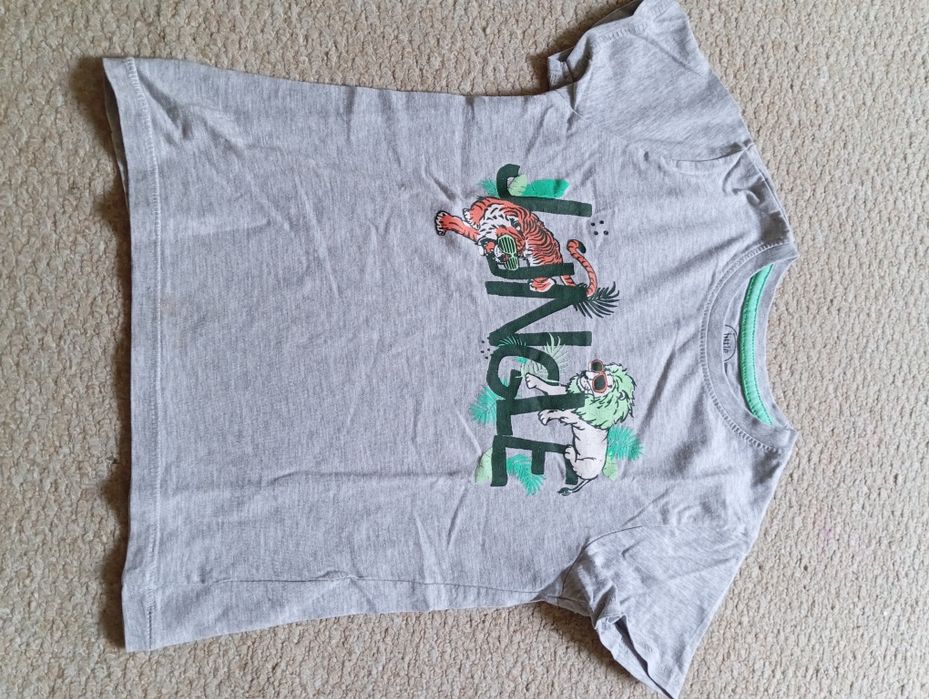 Dwie koszulki chłopięce, t-shirty, H&M, Pepco, 104 cm, 3-4 lata