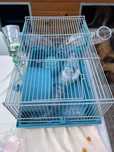 Coisas de hamster