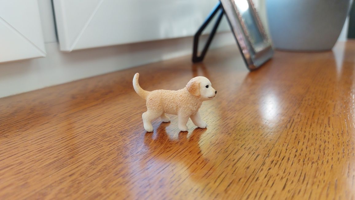 Pies Labrador schleich